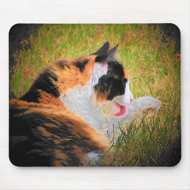 Sauber behalten mousepad (Vorne)