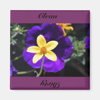 sauber, schmutzig magnet