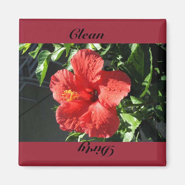 sauber, schmutzig magnet (Vorne)