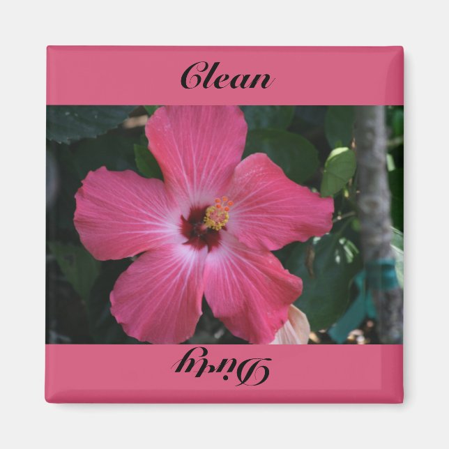 sauber, schmutzig magnet (Vorne)