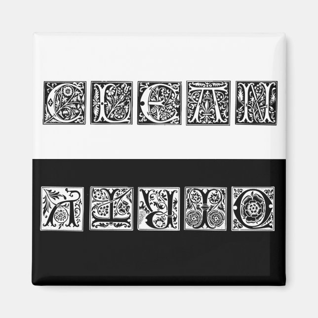 Sauberes und sauberes Renaissance Geschirrspüler M Magnet (Vorne)