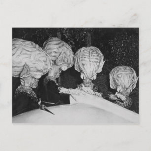 SAUCER MEN POSTCARD POSTKARTE