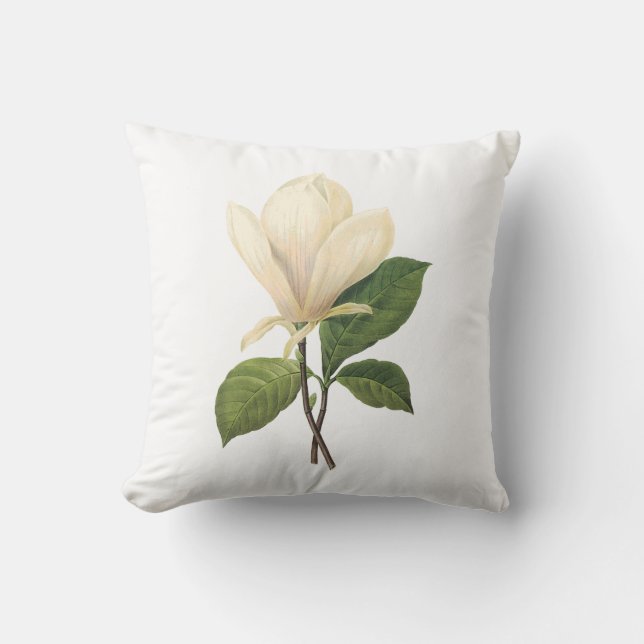 Saucermagnolie (Magnolie soulangiana) durch Kissen (Vorderseite)