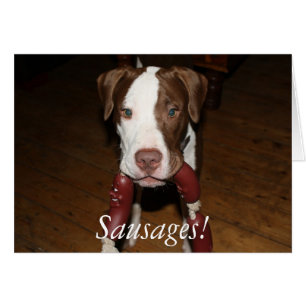 saucisses de chien !