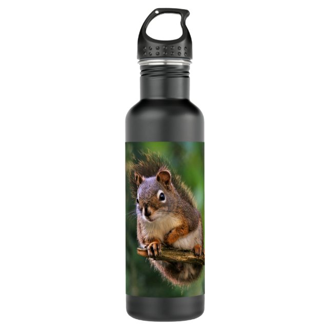 Saucy Red Eichhörnchen in der Tanne Edelstahlflasche (Vorderseite)