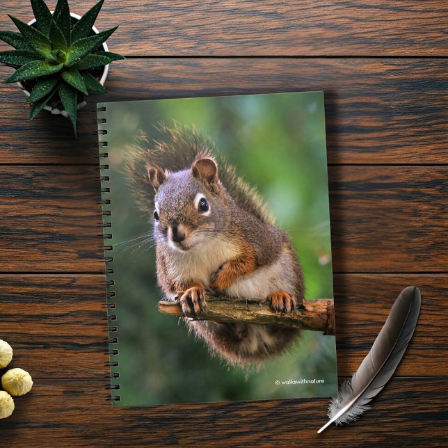 Saucy Red Eichhörnchen in der Tanne Notizblock (Saucy Red Squirrel Sitting in the Fir Journal Cover Photo)