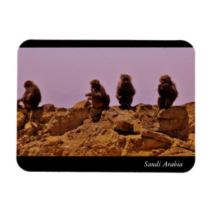 Saudi-Arabien Magnet