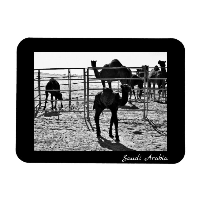 Saudi-Arabien Magnet (Horizontal)
