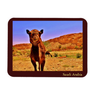 Saudi-Arabien Magnet