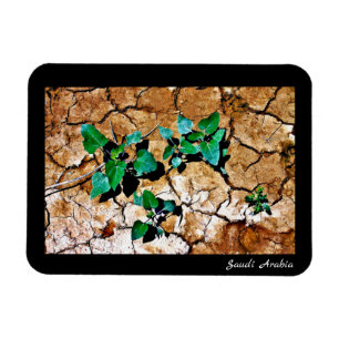 Saudi-Arabien Magnet