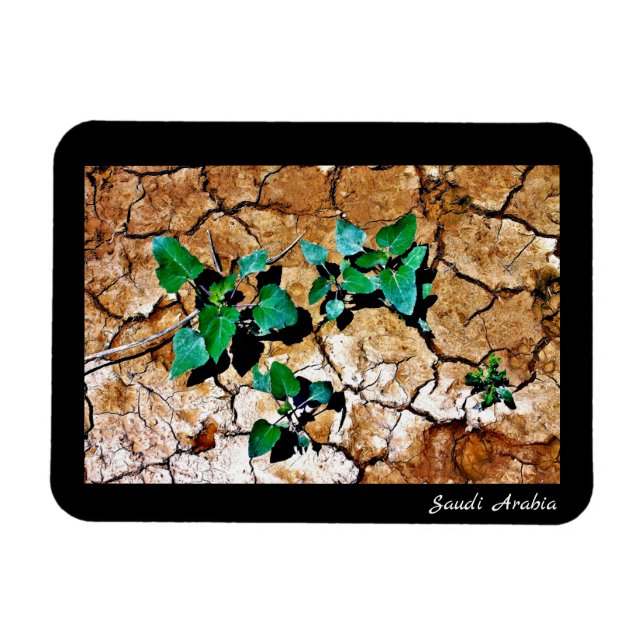 Saudi-Arabien Magnet (Horizontal)