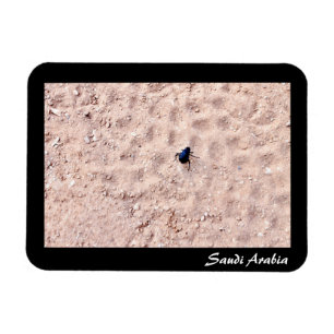 Saudi-Arabien Magnet