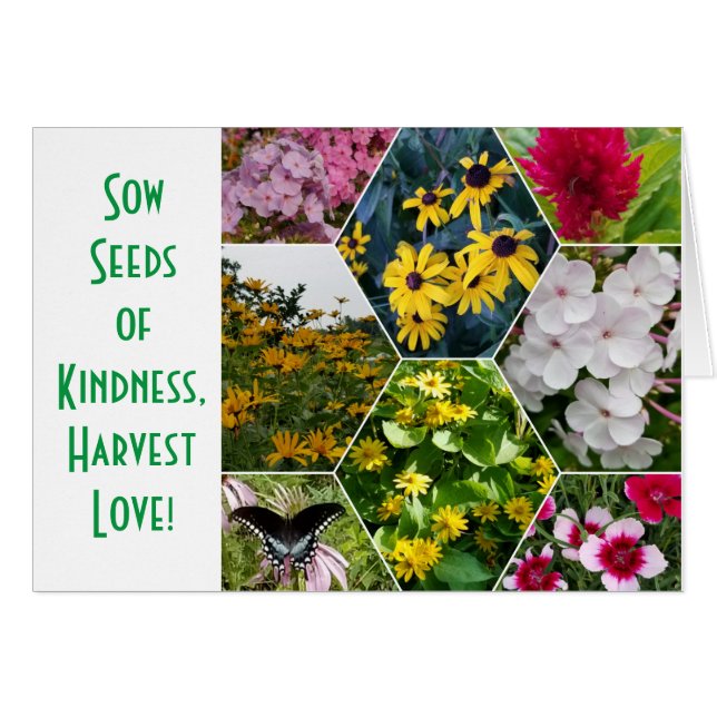 SÄUFE DER KINDNESS GREETING CARD (Vorderseite (Horizontal))