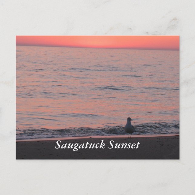 Saugatuck Sunset Postkarte (Vorderseite)
