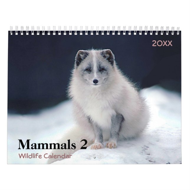 Säugetiere 2 Wildlife 2021 - Kalender (Titelbild)