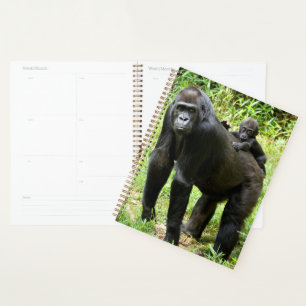 Säugling Lowland Gorilla auf dem Rücken der Mutt Planer