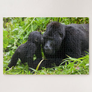 Säuglings-Berggorilla küsst Silberrücken-Gorilla