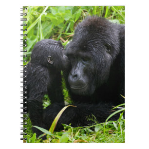 Säuglings-Berggorilla küsst Silberrücken-Gorilla Notizblock