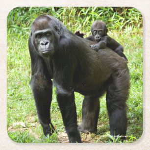 Säuglings-Tiefland-Gorilla auf der Rückseite der Rechteckiger Pappuntersetzer