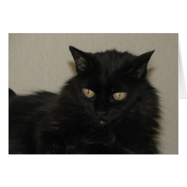 Saule (Devant horizontal)