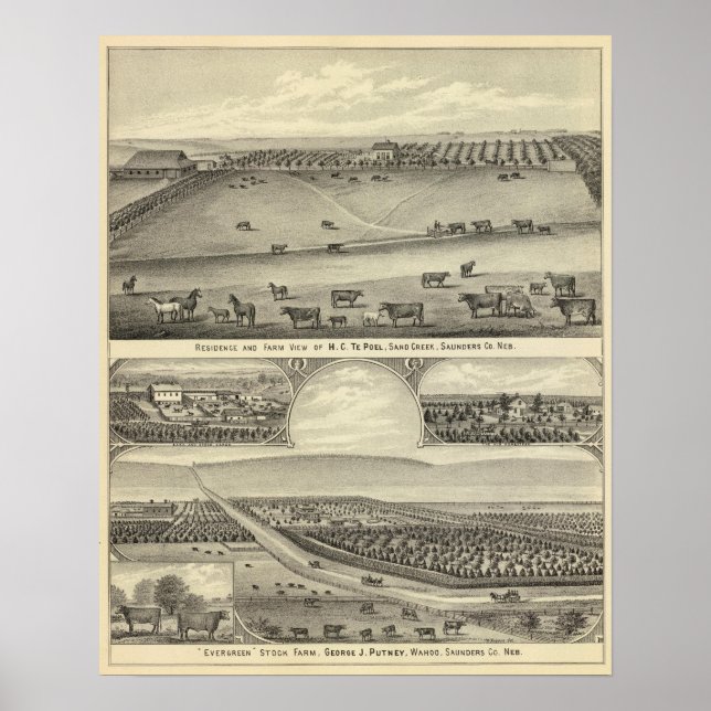 Saunders Landkreis Farms, Nebraska Poster (Vorne)