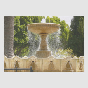 Sausalito Fountain California Travel Fotografy Seidenpapier