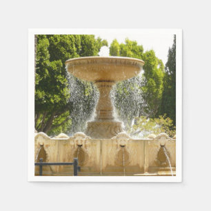 Sausalito Fountain California Travel Fotografy Serviette