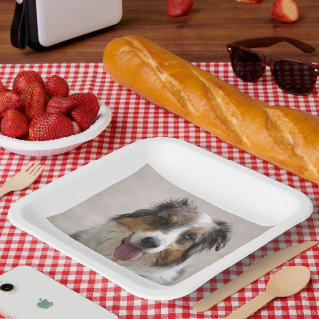 Saustralischer Hirtenhändler Pappteller (Picknick)