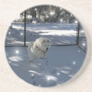 Saut Samoyé dans le dessous de verre de neige