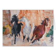 Sauvage dans les canyons