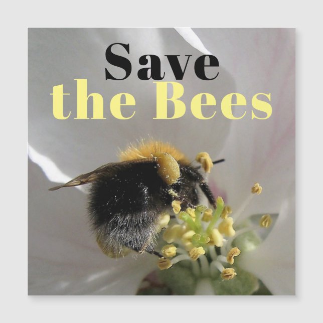 Sauvegarder les abeilles Bumble Bee Photo Carte ma (Devant)