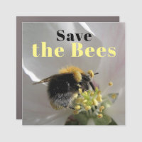 Sauvez l'abeille bourdonne