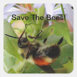 Sauvez le macro autocollant de photo d'abeilles