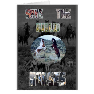Sauvez les chevaux sauvages