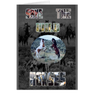Sauvez Les Chevaux Sauvages