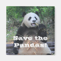 Sauvez les pandas géants Magnet