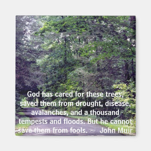 Sauvez-nous des imbéciles - aimant