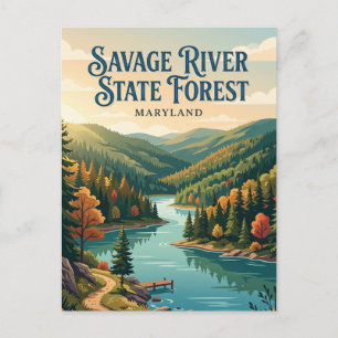 Savage River State Forest Maryland Postkarte