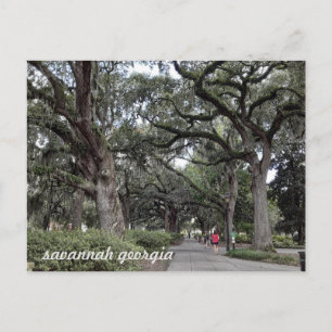 savane géorgie dans le parc  carte postale