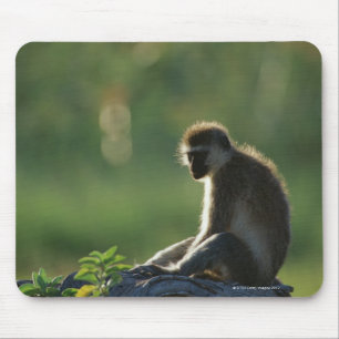 Savanna-Affe Mousepad