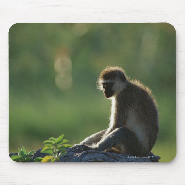 Savanna Monkey Mousepad (Vorne)