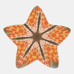 Savanna Star Bloom - Eine kühne afrikanische Tiera Stern-Aufkleber