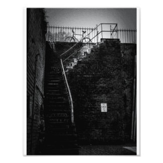 Savannah Bicycle Fotodruck