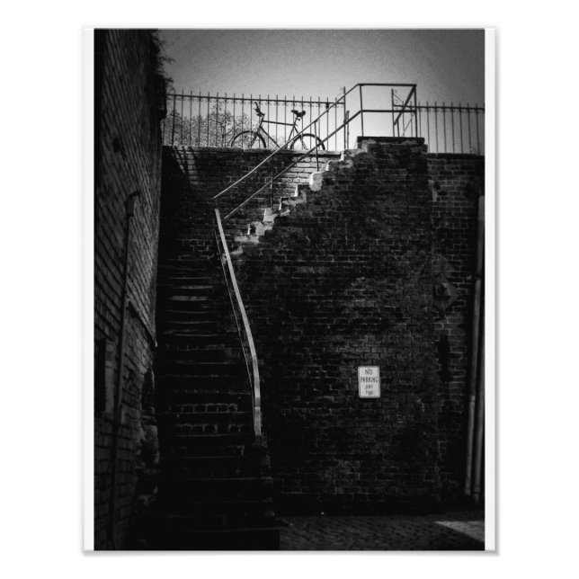 Savannah Bicycle Fotodruck (Vorne)