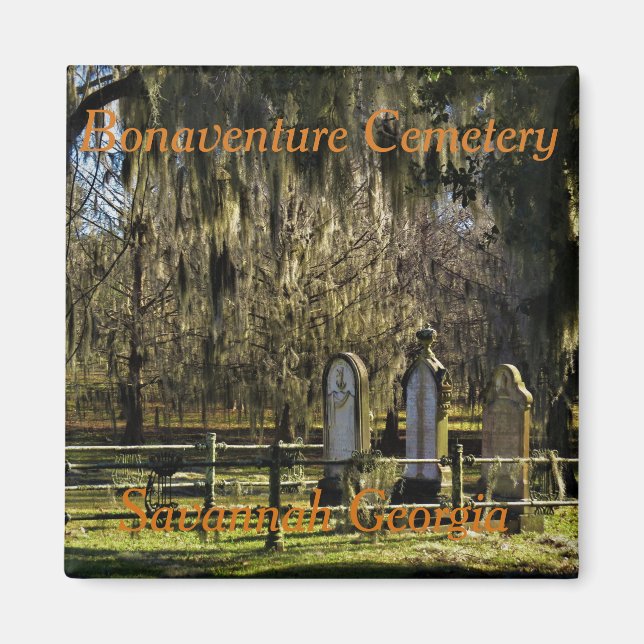 Savannah Bonaventure Magnet (Vorne)