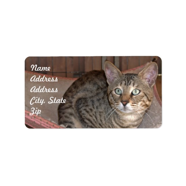 Savannah Cat Address Sticker Adressaufkleber (Vorne)