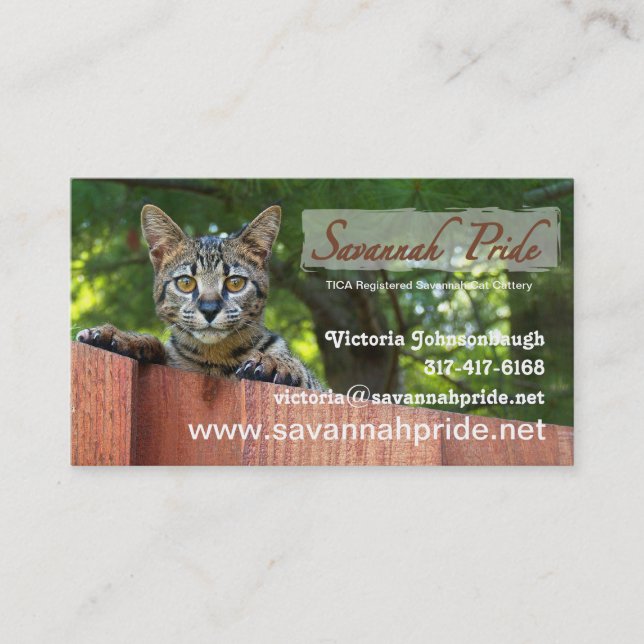 Savannah Cat Business Card Visitenkarte (Vorderseite)
