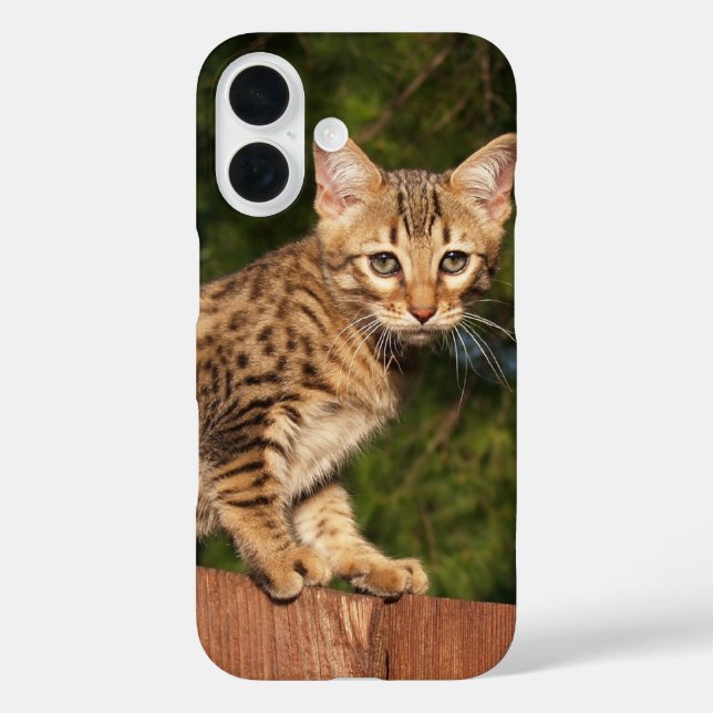Savannah Cat Handy Case (Rückseite)