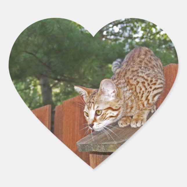 Savannah Cat Heart Sticker (Vorderseite)