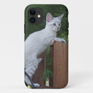 Savannah Cat iPhone 5 Case-Mate Barely Dort title_seo2